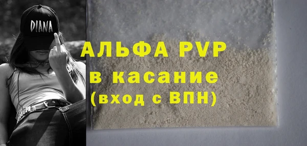 крисы Пересвет
