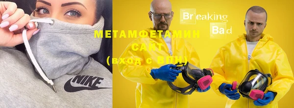 прущие грибы Покров