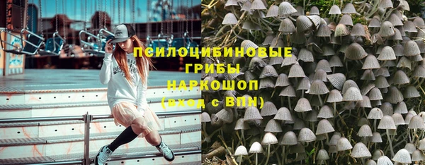 крисы Пересвет