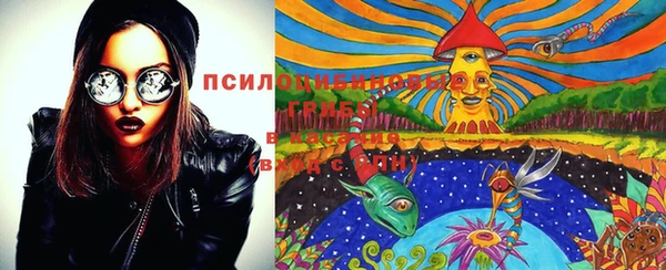 прущая мука Переславль-Залесский