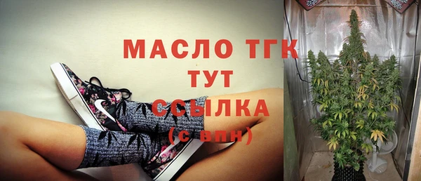 крисы Пересвет