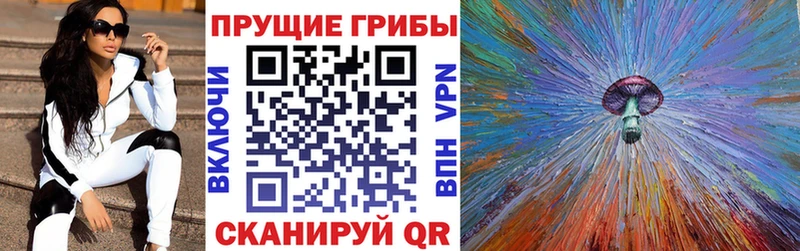 даркнет сайт  OMG онион  Галлюциногенные грибы Magic Shrooms  площадка формула  Берёзовский 